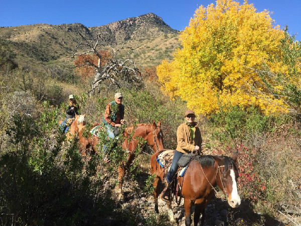 Elkhorn Ranch Arizona horseback holidays December